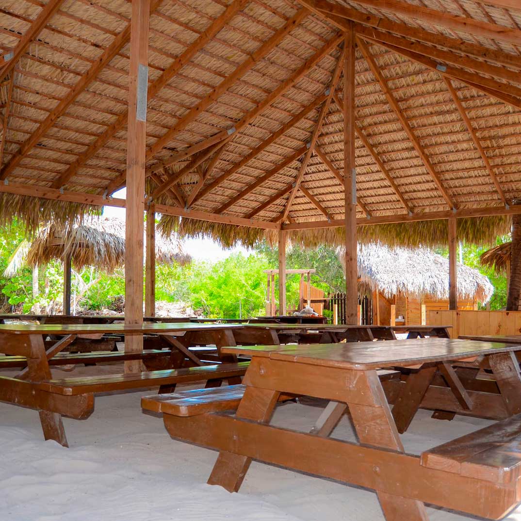 Discover-Catalina-Island-and-Altos-de-Chavon-09 (2)